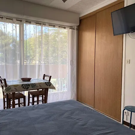 Confortable Face Aux Thermes Avec Balcon - Fr-1-553-26 Lejlighed Balaruc-les-Bains